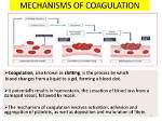 At Does Coagulate Mean?