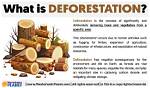 At Does Deforestation Mean?