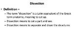 At Does Dissect Mean?