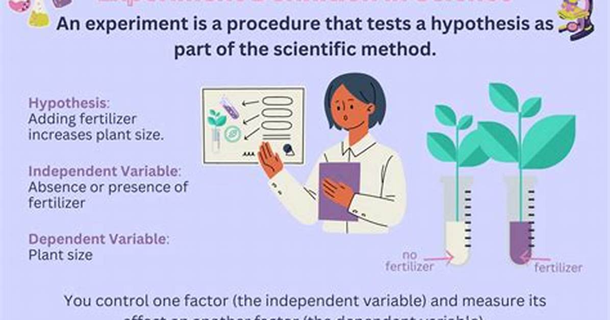At Does Experiment Mean?