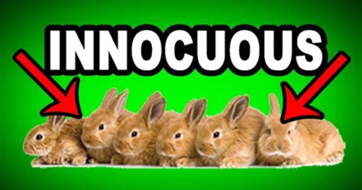 At Does Innocuous Mean?