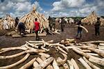 At Does Poaching Mean?