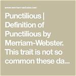 At Does Punctilious Mean?