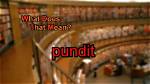 At Does Pundit Mean?