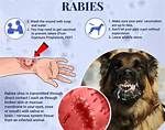 At Does Rabid Mean?