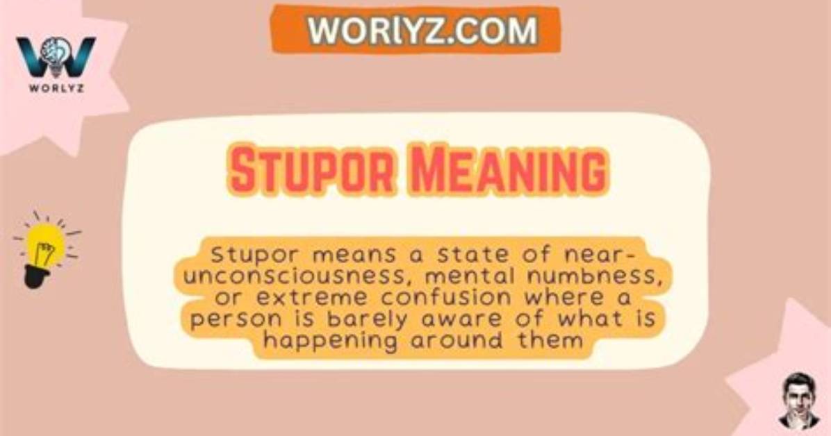 At Does Stupor Mean?