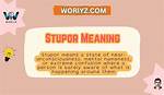At Does Stupor Mean?