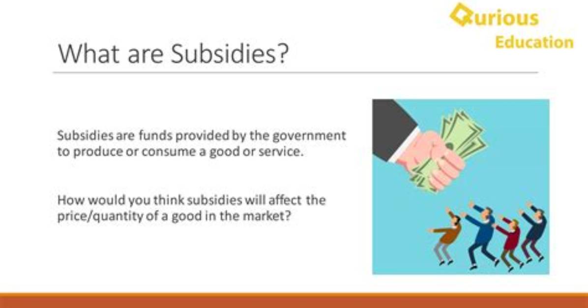 At Does Subsidize Mean?
