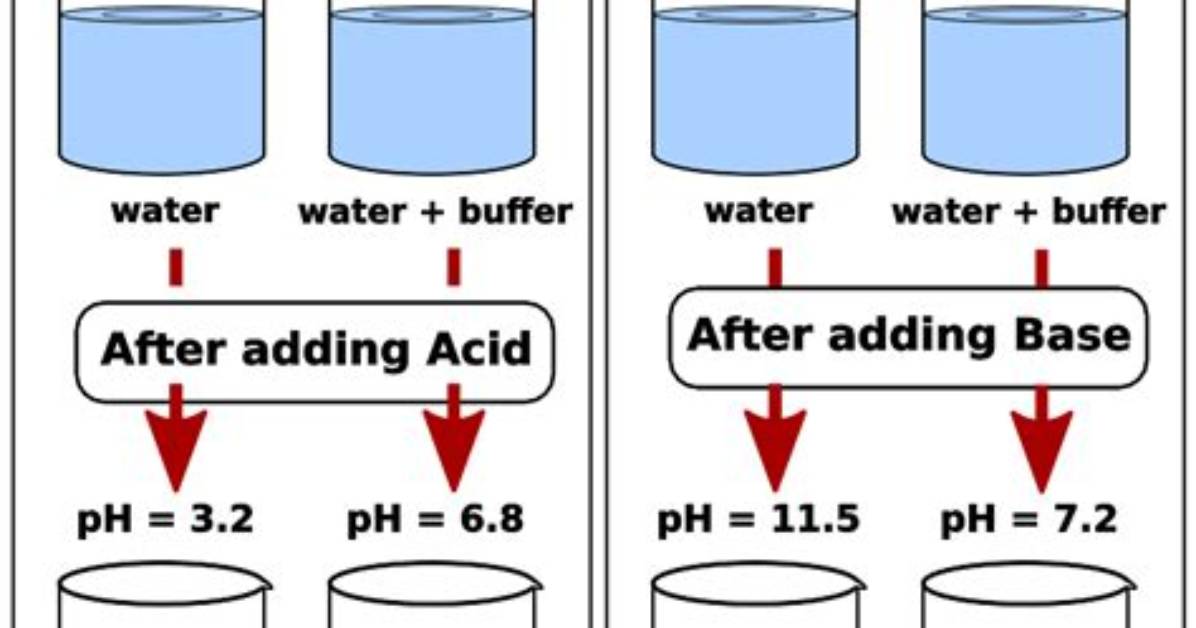 At Is a Buffer Solution?