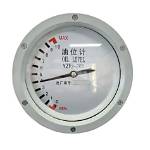 At Oil Level Indicator?