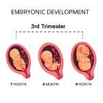 At the Third Trimester?