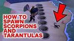 At What Time Do Tarantulas Spawn?