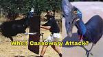 Attack Cassowary
