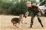 Attack Command to a Dog