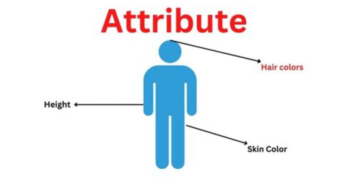 Attribute