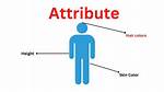 Attribute