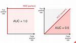 Auc Meaning