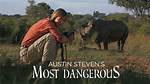 Austin Stevens