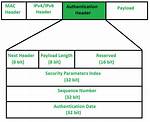 Authorization Header