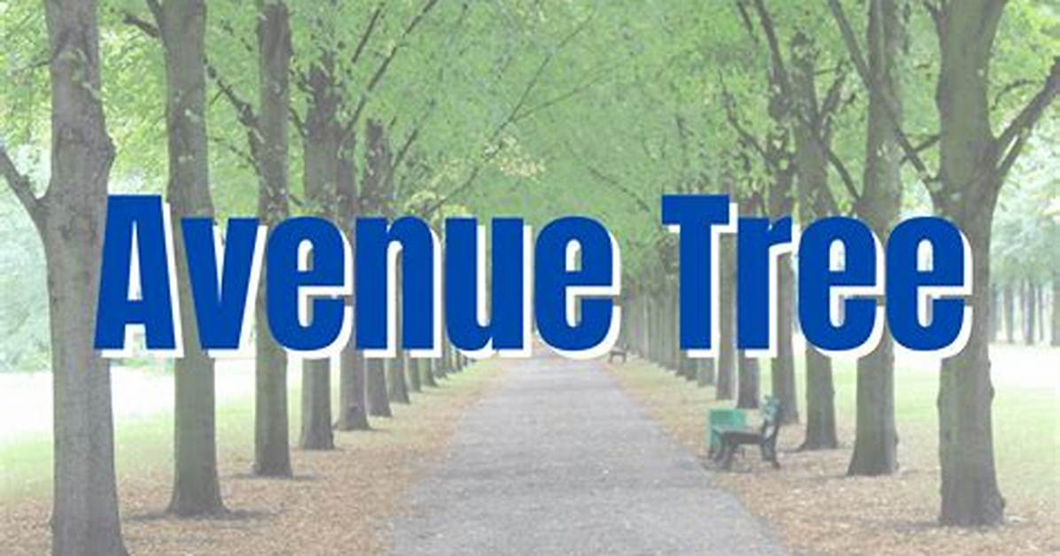 Avenue Trees