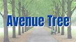 Avenue Trees