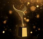 Award for a Tv Program