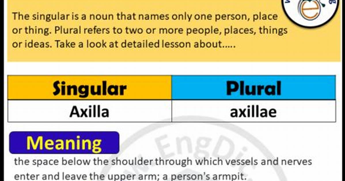 Axilla Plural