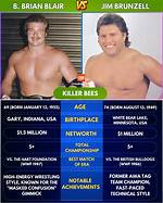 B Brian Blair Recalls the Formation of the Killer Bees Tag Team, Why Jim Brunzell Had Heat When He Entered the Wwf, Working with the Hart Foundation, and Working up Iron Sheik