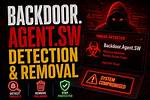 Backdoor. Agent