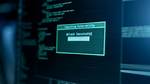Backdoor. Bot. Generic