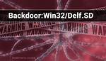 Backdoor. Delf