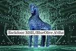 Backdoor. Msil. Broide
