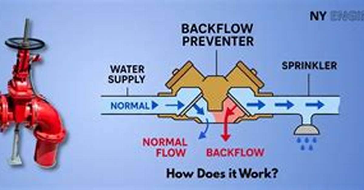 Backflow Preventer Problems