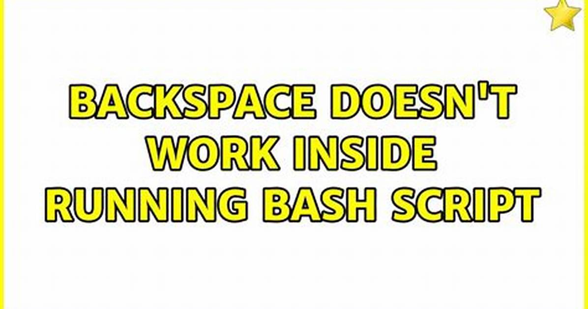 Backspace Doesn't Work Inside Running Bash Script
