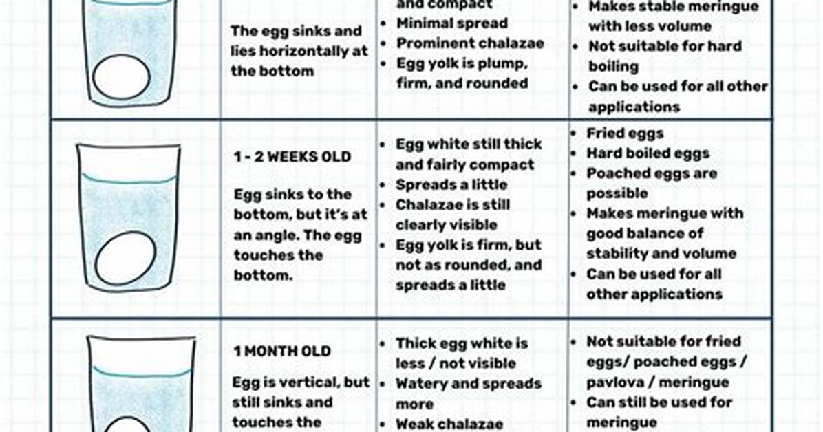 Bad Eggs Float