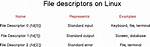Bad File Descriptor with Linux Socket Write() Bad File Descriptor C