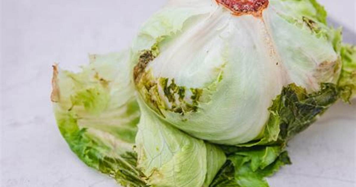 Bad Lettuce