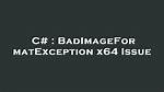 Badimageformatexception X64 Issue