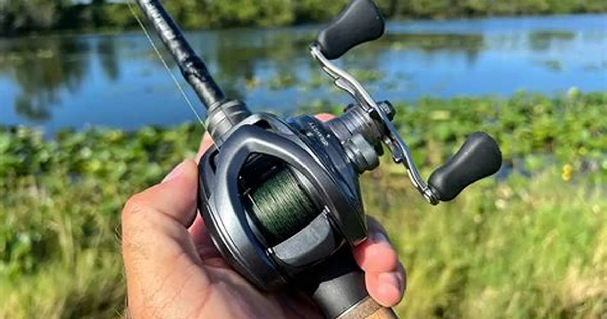 Bait Casters