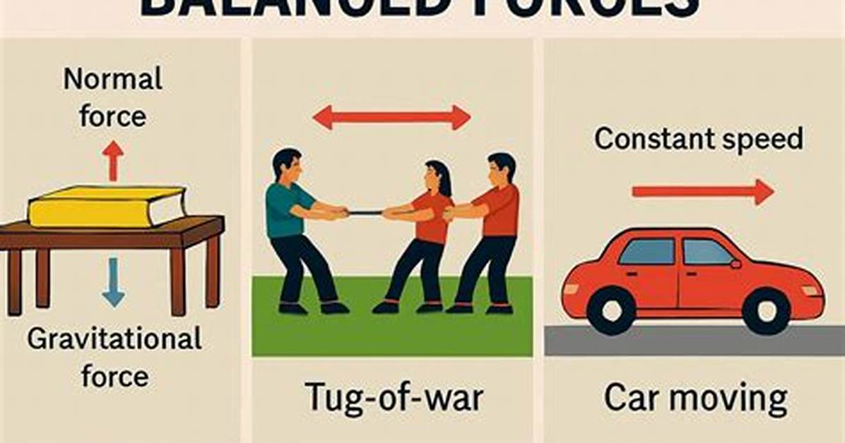 Balanced Force Examples