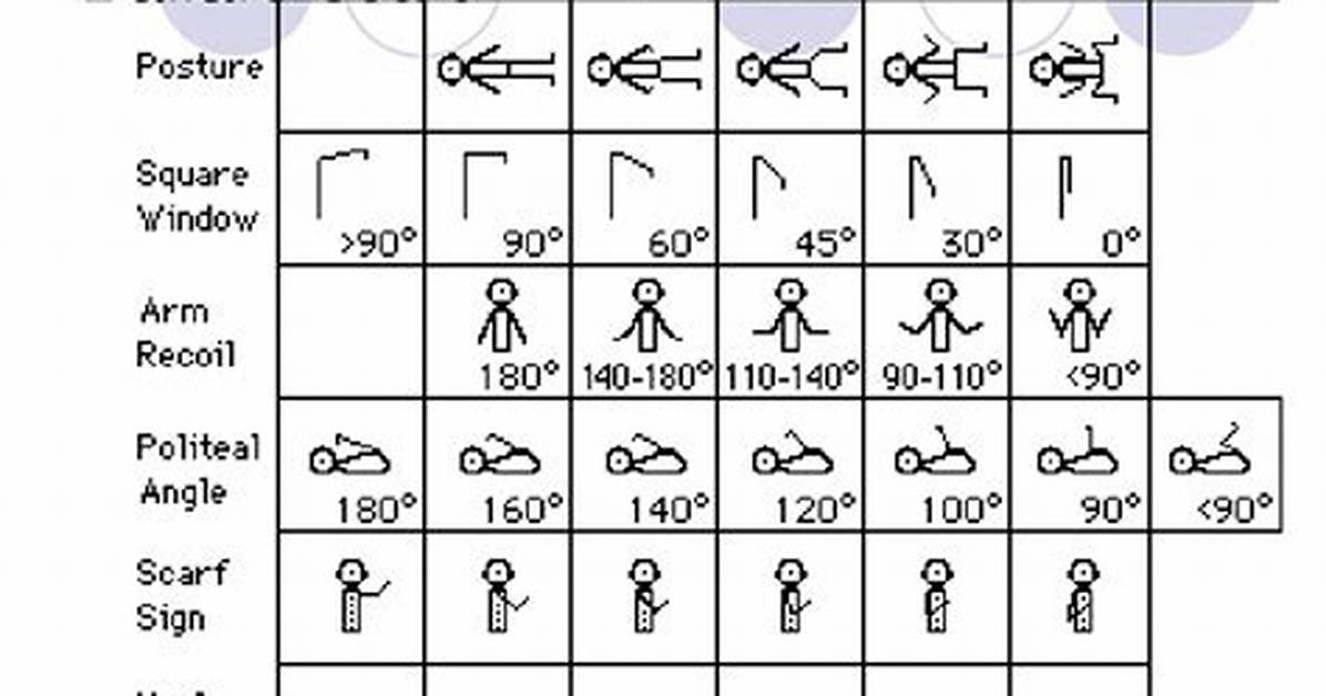 Ballard Scale