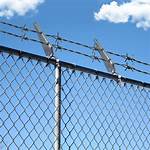 Barbed ___ Fence