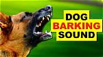 Barking Sound