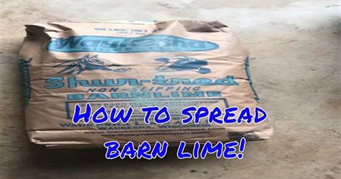 Barn Lime