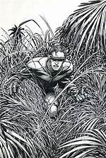 Barry Windsor-Smith
