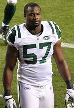 Bart Scott Fortune