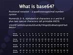 Base 64 Encode and Decode Example Code