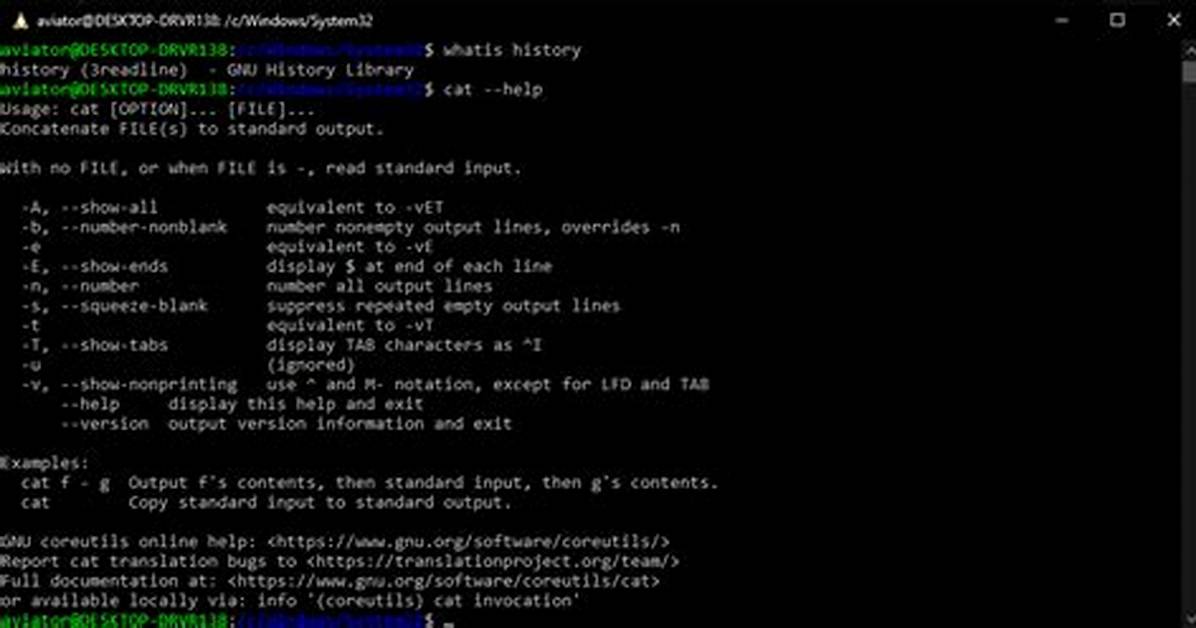 -Bash-4.2$ for Command Line?