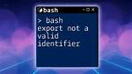 -Bash: Export: `=': Not a Valid Identifier