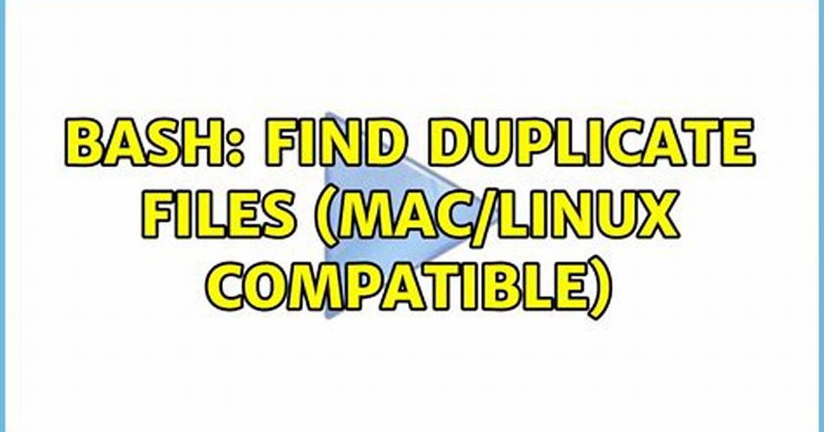 Bash: Find Duplicate Files (Mac/Linux Compatible)
